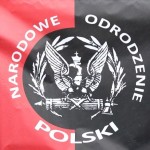 Symbole NOP – symbole radykalnego nacjonalizmu w Polsce